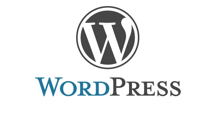 Word Press Websites